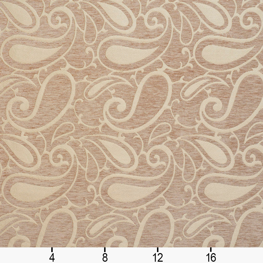 Asher Taupe Ruler Image