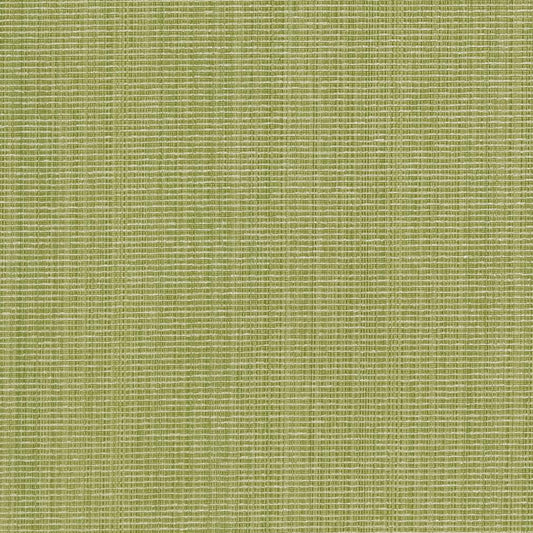 Bombay Lime Fabric