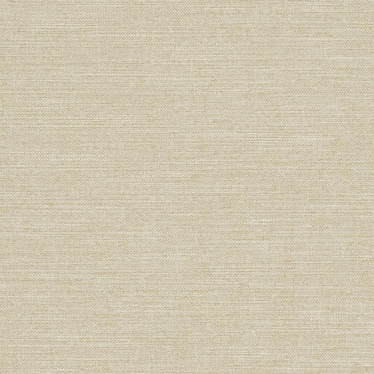 Branson Sand Fabric