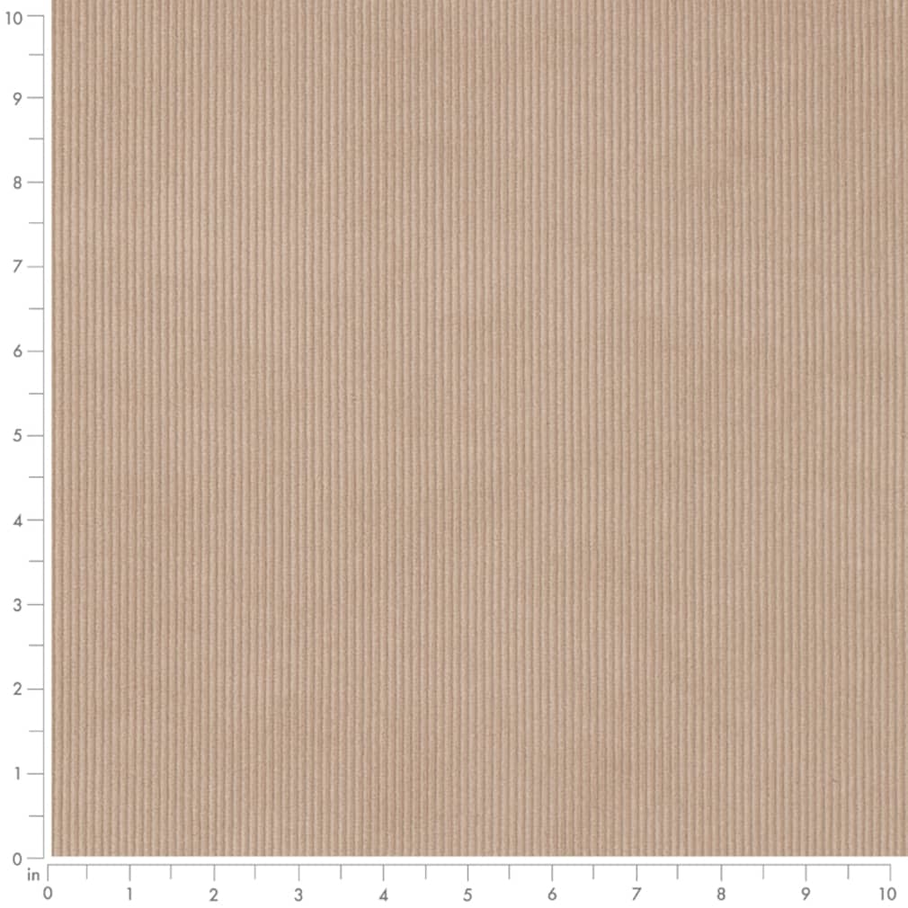 Brayden Taupe Ruler Image