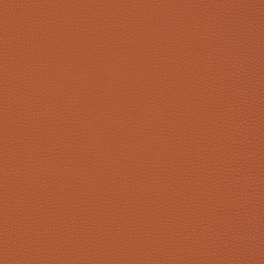 Camden Sienna Fabric