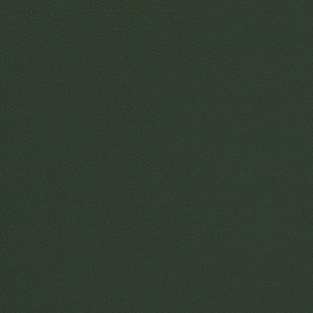 Carmen Evergreen Fabric