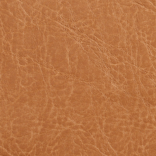 Celia Camel Fabric