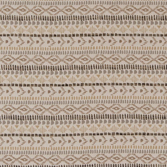 Coleman Desert Fabric