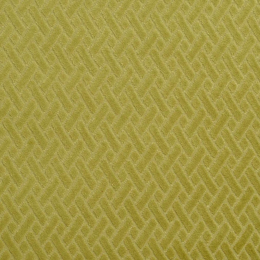 Dario Lime Fabric