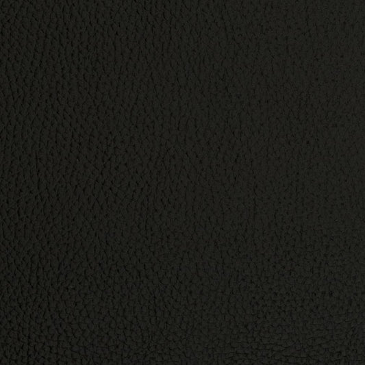 Delphine Onyx Fabric