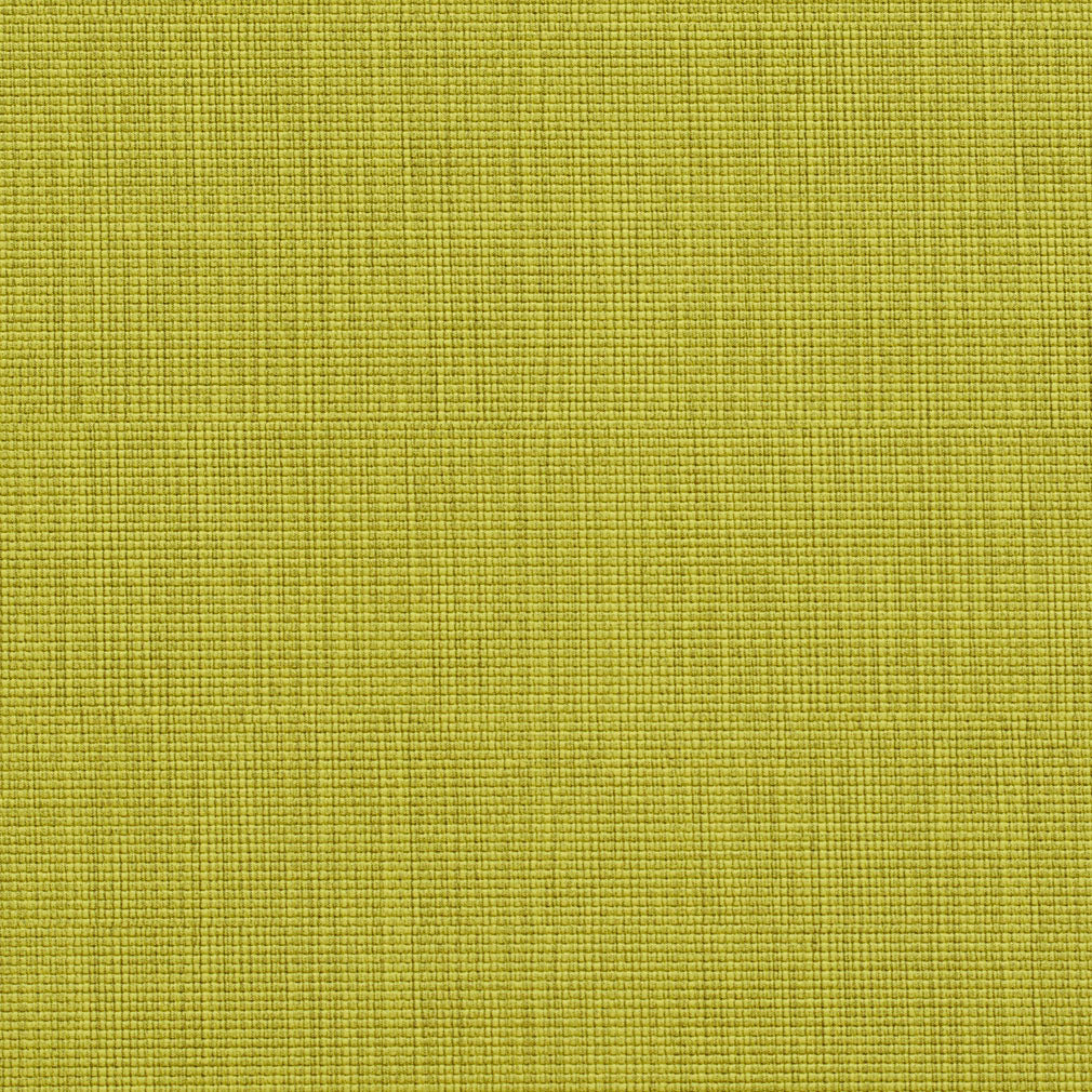 Doyle Citrus Fabric