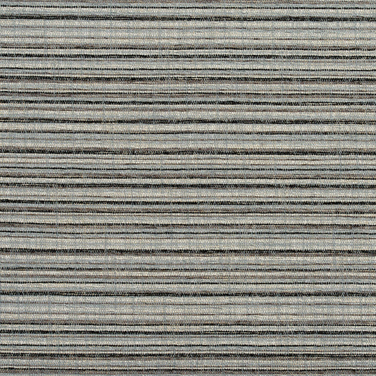 Equinox Coal Fabric