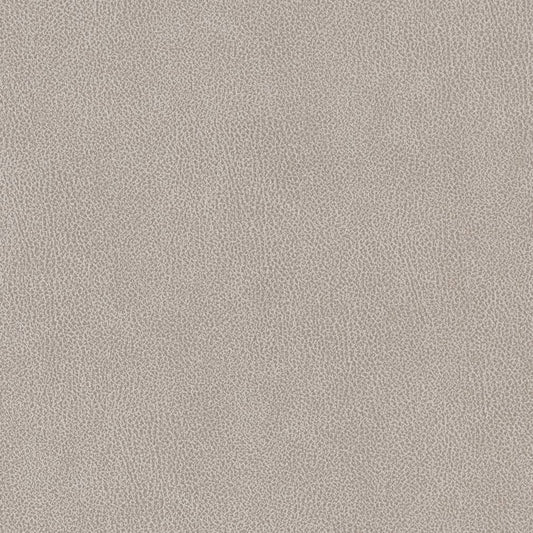 Estelle Platinum Fabric