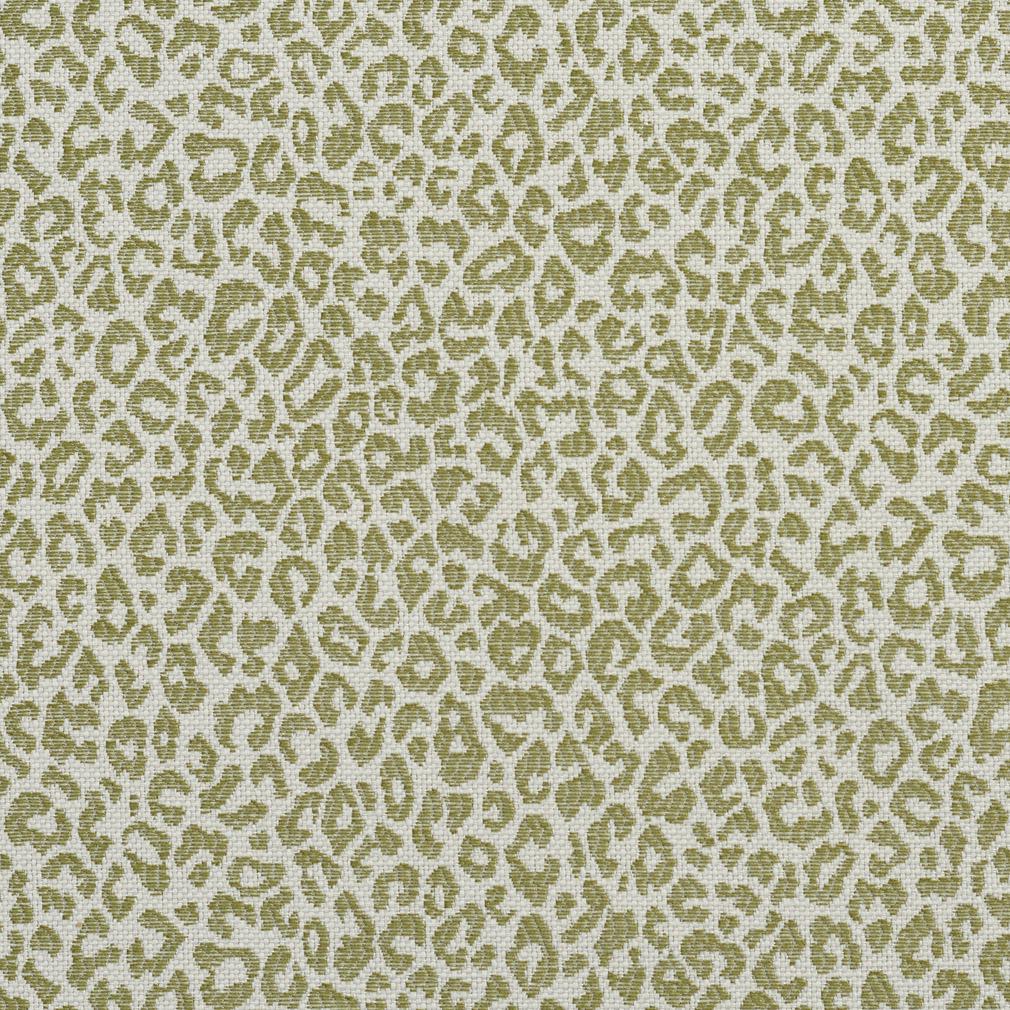 Fulton Fern Fabric