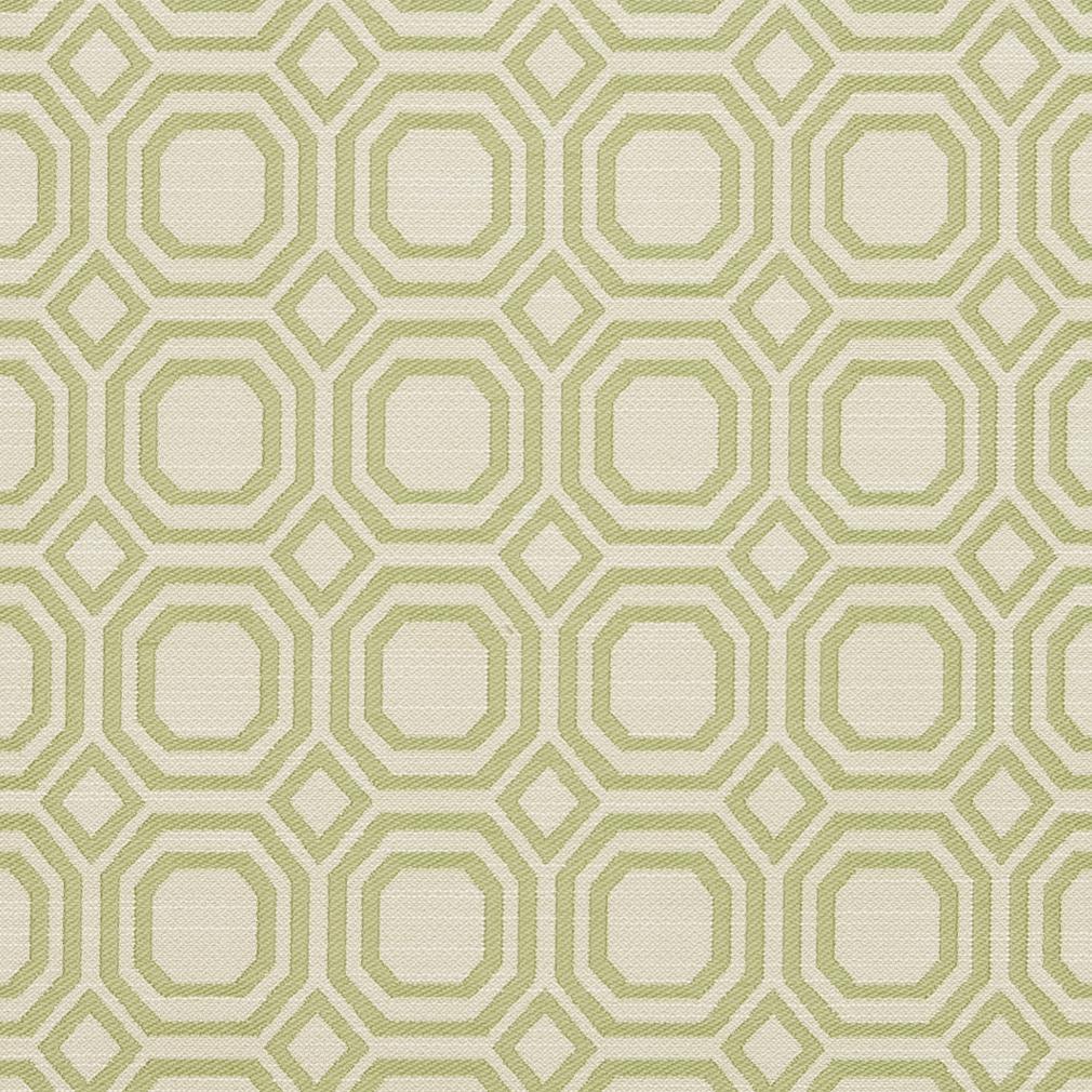 Geneva Kiwi Fabric