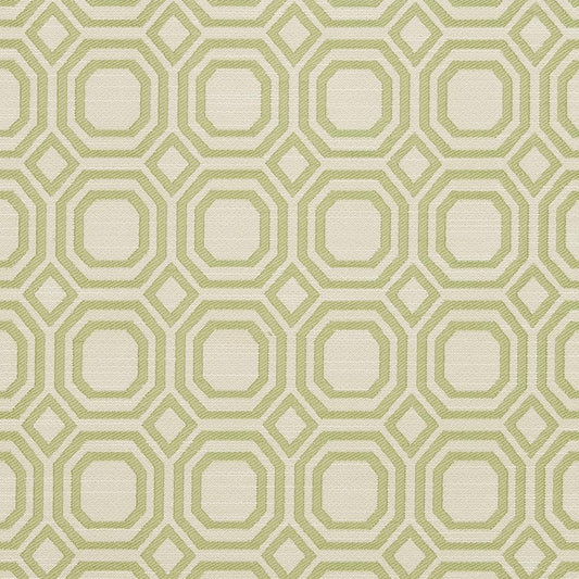 Geneva Kiwi Fabric