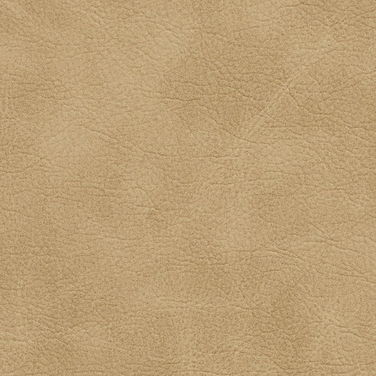 Hubbard Sand Fabric