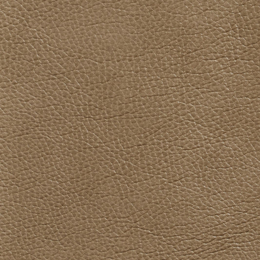 Hughes Dune Fabric