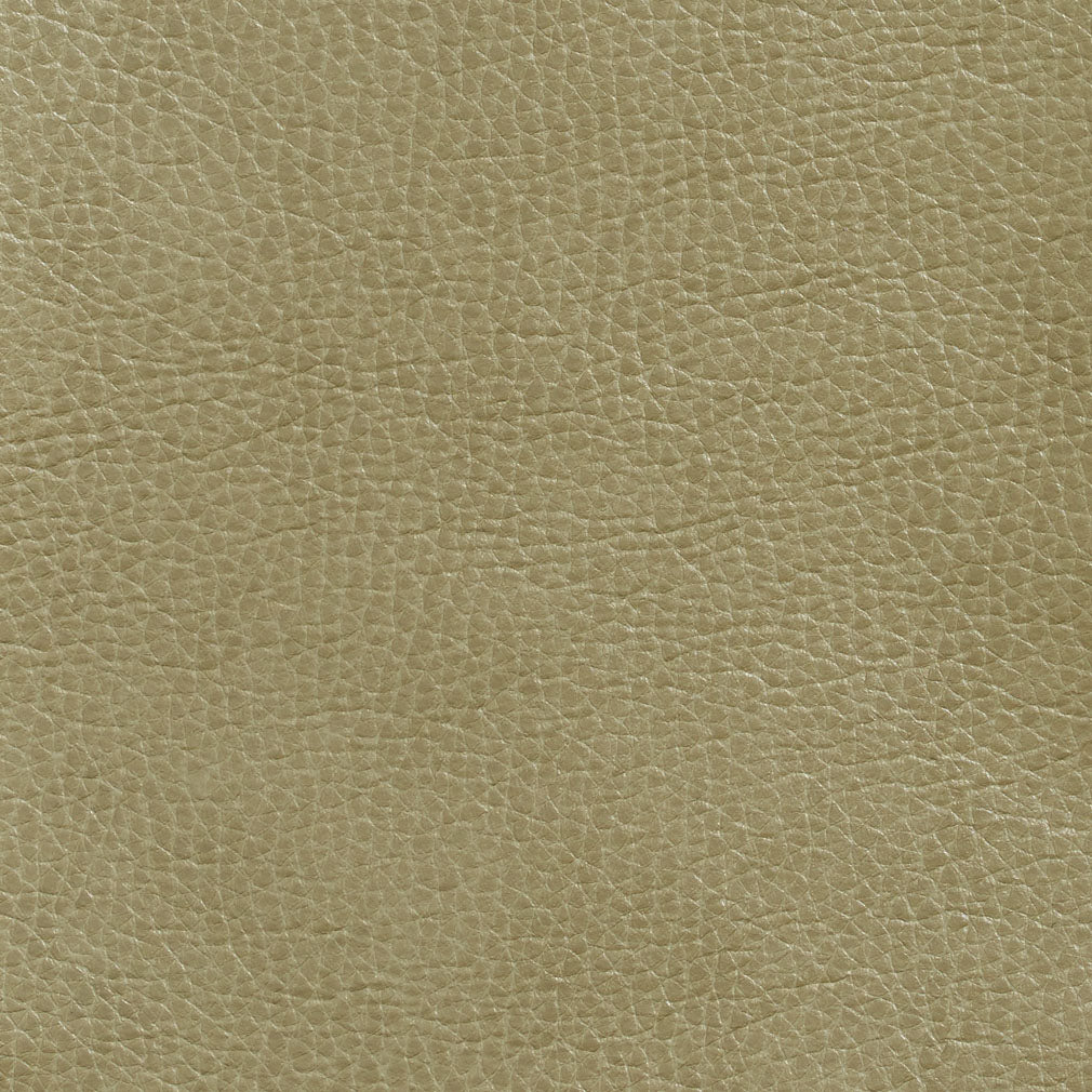 Hughes Moss Fabric