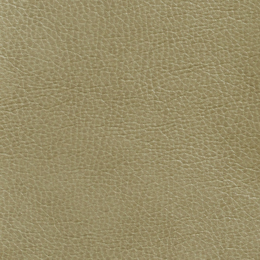 Hughes Moss Fabric