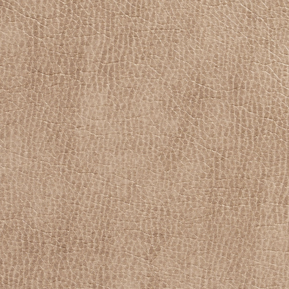 Loring Birch Fabric