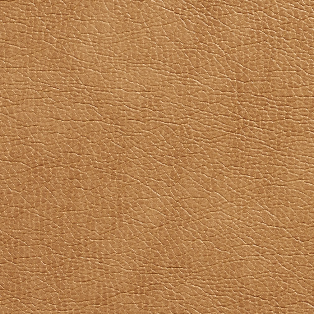 Loring Cashew Fabric