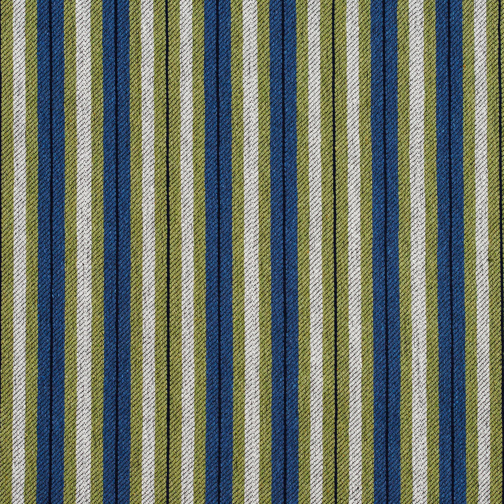 Mitchell Laguna Fabric