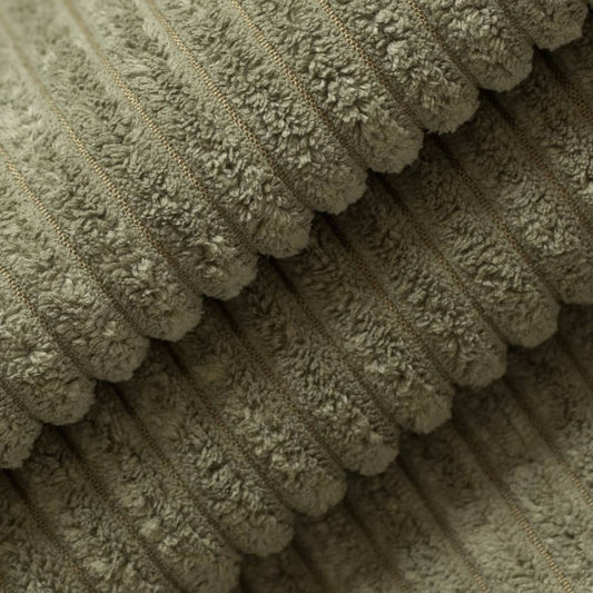 Rosetta Fern Closeup Texture