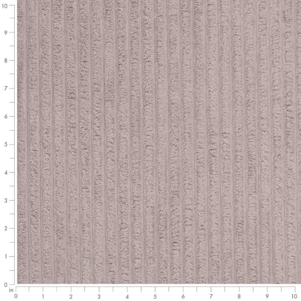 Rosetta Fossil Ruler Image