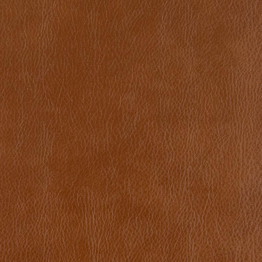 Sampson Palomino Fabric