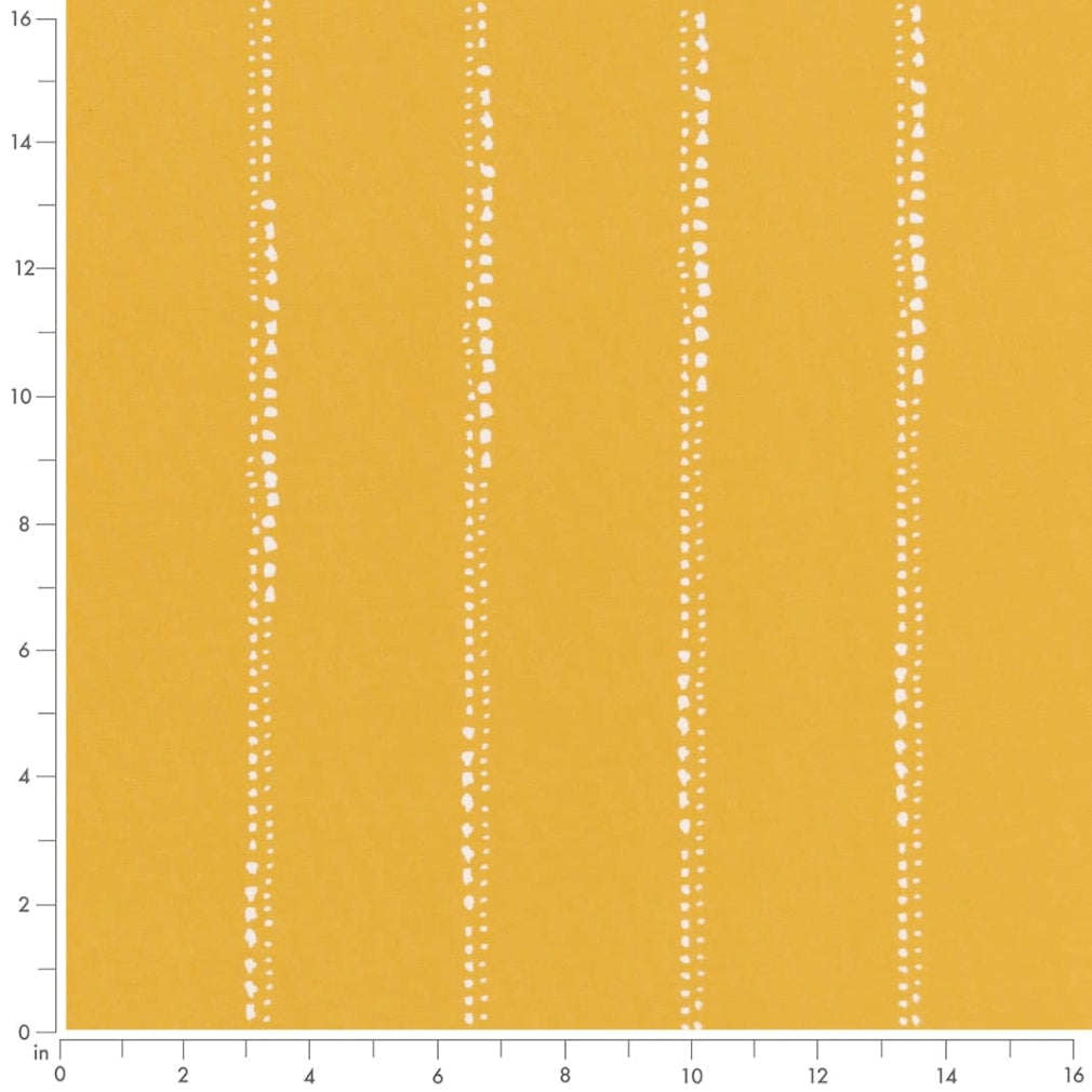 Sonoran Sun Ruler Image